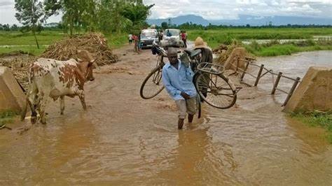 Mbale Northern City Clerk on Spot for Colluding With Investors to Destroy Swamps